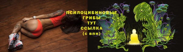 MDMA Premium VHQ Нязепетровск