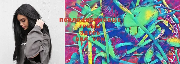 винт Нягань